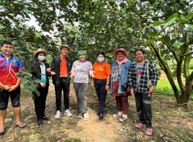 ร่วมกำหนดแนวทางการทำสื่อประชาสัมพันธ์บอกเล่าเรื่องราวผลไม้อัตลักษณ์พื้นถิ่น GI (ส้มโอบ้านแท่น) ... พารามิเตอร์รูปภาพ 8