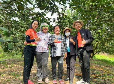 ร่วมกำหนดแนวทางการทำสื่อประชาสัมพันธ์บอกเล่าเรื่องราวผลไม้อัตลักษณ์พื้นถิ่น GI (ส้มโอบ้านแท่น) ... พารามิเตอร์รูปภาพ 9