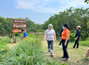 ร่วมกำหนดแนวทางการทำสื่อประชาสัมพันธ์บอกเล่าเรื่องราวผลไม้อัตลักษณ์พื้นถิ่น GI (ส้มโอบ้านแท่น) ... พารามิเตอร์รูปภาพ 13