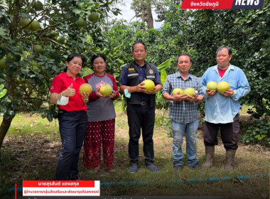 ลงพื้นที่ตรวจเยี่ยมตามโครงการระบบส่งเสริมการเกษตรแบบแปลงใหญ่ (ส้มโอ) ... พารามิเตอร์รูปภาพ 1