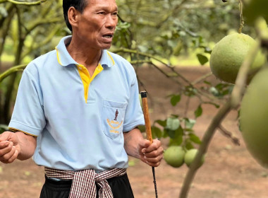 ส่งมอบบรรจุภัณฑ์/ตราสินค้าอัตลักษณ์พื้นถิ่นในสถาบันเกษตรกร ... พารามิเตอร์รูปภาพ 7