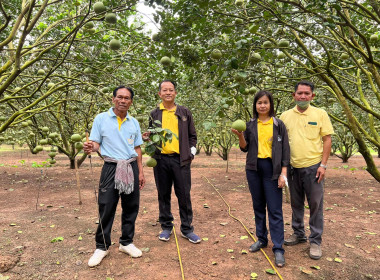 ส่งมอบบรรจุภัณฑ์/ตราสินค้าอัตลักษณ์พื้นถิ่นในสถาบันเกษตรกร ... พารามิเตอร์รูปภาพ 11