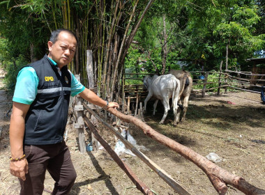 ลงพื้นที่ติดตามการดำเนินงานการส่งเสริมพัฒนาอาชีพ ... พารามิเตอร์รูปภาพ 3