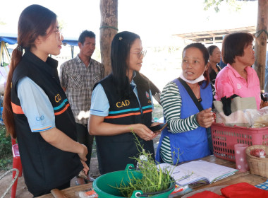 ตรวจเยี่ยม &quot;ตลาดนัดวันสุข&quot; ... พารามิเตอร์รูปภาพ 4