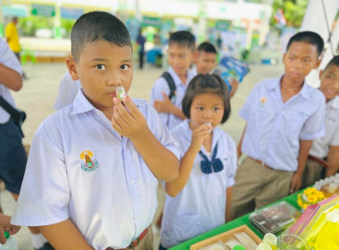 ออกหน่วยบริการคลินิกสหกรณ์ ในงานคลินิกเกษตรเคลื่อนที่ฯ ... พารามิเตอร์รูปภาพ 12