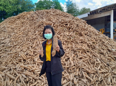 ติดตามการใช้ประโยชน์อุปกรณ์การตลาดและการให้บริการสมาชิกของสหกรณ์การเกษตรหนองบัวระเหว จำกัด ... พารามิเตอร์รูปภาพ 3