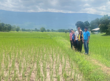 ติดตามการใช้เงินกู้ ... พารามิเตอร์รูปภาพ 9