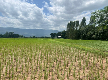 ติดตามการใช้เงินกู้ ... พารามิเตอร์รูปภาพ 11