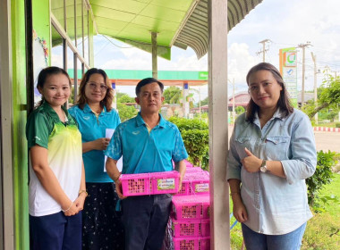 กระจายผลผลิตลำไยเพื่อช่วยเหลือสมาชิกสหกรณ์ผู้ปลูกลำไยภาคเหนือ ... พารามิเตอร์รูปภาพ 12