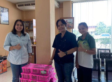 กระจายผลผลิตลำไยเพื่อช่วยเหลือสมาชิกสหกรณ์ผู้ปลูกลำไยภาคเหนือ ... พารามิเตอร์รูปภาพ 13