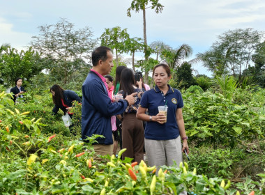 ตรวจติดตามการดำเนินงานโครงการสร้างมูลค่าเพิ่มจากวัสดุเหลือใช้ทางการเกษตร ... พารามิเตอร์รูปภาพ 6