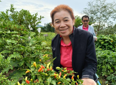 ตรวจติดตามการดำเนินงานโครงการสร้างมูลค่าเพิ่มจากวัสดุเหลือใช้ทางการเกษตร ... พารามิเตอร์รูปภาพ 7