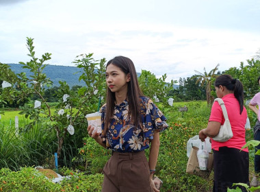 ตรวจติดตามการดำเนินงานโครงการสร้างมูลค่าเพิ่มจากวัสดุเหลือใช้ทางการเกษตร ... พารามิเตอร์รูปภาพ 8