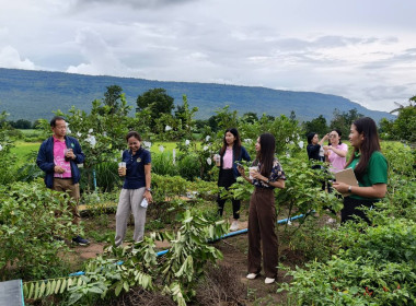 ตรวจติดตามการดำเนินงานโครงการสร้างมูลค่าเพิ่มจากวัสดุเหลือใช้ทางการเกษตร ... พารามิเตอร์รูปภาพ 9