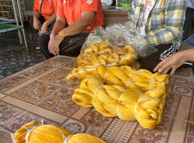 ติดตามผลการดำเนินงานโครงการส่งเสริมและพัฒนาสินค้าเกษตรอัตลักษณ์พื้นถิ่นในสถาบันเกษตรกร (หม่อนไหม) ปี 2568 ... พารามิเตอร์รูปภาพ 3