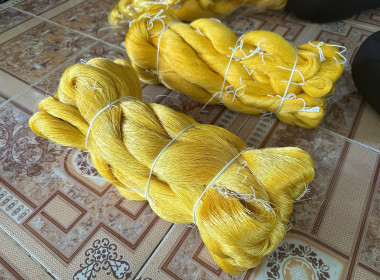 ติดตามผลการดำเนินงานโครงการส่งเสริมและพัฒนาสินค้าเกษตรอัตลักษณ์พื้นถิ่นในสถาบันเกษตรกร (หม่อนไหม) ปี 2568 ... พารามิเตอร์รูปภาพ 5