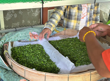 ติดตามผลการดำเนินงานโครงการส่งเสริมและพัฒนาสินค้าเกษตรอัตลักษณ์พื้นถิ่นในสถาบันเกษตรกร (หม่อนไหม) ปี 2568 ... พารามิเตอร์รูปภาพ 6