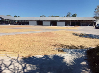 ตรวจติดตามการรวบรวมข้าวปลือกและเมล็ดถั่วเหลืองพร้อมชี้แจงแนวทางการดำเนินงานโครงการ ... พารามิเตอร์รูปภาพ 7