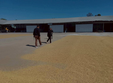 ตรวจติดตามการรวบรวมข้าวปลือกและเมล็ดถั่วเหลืองพร้อมชี้แจงแนวทางการดำเนินงานโครงการ ... พารามิเตอร์รูปภาพ 10