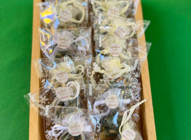 ออกหน่วยบริการคลินิกสหกรณ์ ในงานคลินิกเกษตรเคลื่อนที่ฯ ... พารามิเตอร์รูปภาพ 10