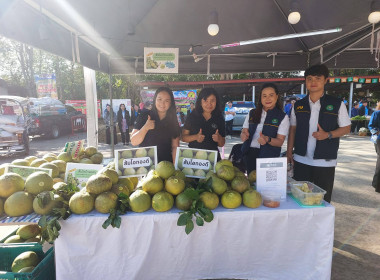 งานแสดงและจำหน่ายสินค้าเกษตรอัตลักษณ์พื้นถิ่น/ผลิตภัณฑ์ชุมชนและสินค้าสหกรณ์ “Co-op Market Fair 2026" ... พารามิเตอร์รูปภาพ 6