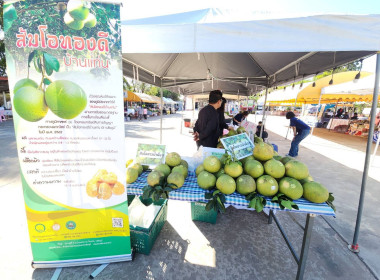 งานแสดงและจำหน่ายสินค้าเกษตรอัตลักษณ์พื้นถิ่น/ผลิตภัณฑ์ชุมชนและสินค้าสหกรณ์ “Co-op Market Fair 2026" ... พารามิเตอร์รูปภาพ 7