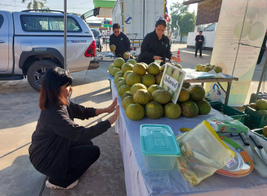 งานแสดงและจำหน่ายสินค้าเกษตรอัตลักษณ์พื้นถิ่น/ผลิตภัณฑ์ชุมชนและสินค้าสหกรณ์ “Co-op Market Fair 2026" ... พารามิเตอร์รูปภาพ 8