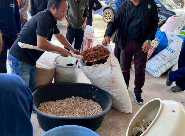 ประชุมเชิงปฏิบัติการเพิ่มประสิทธิภาพ ... พารามิเตอร์รูปภาพ 10