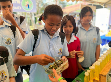 งานวันดินโลก ปี 2568 ในหัวข้อ "Healthy Soils for Healthy ... พารามิเตอร์รูปภาพ 11