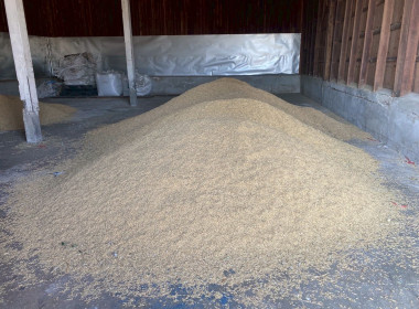 ติดตามการใช้เงินกู้กองทุนพัฒนาสหกรณ์ตามโครงการสนับสนุนเงินกู้เพื่อเพิ่มศักยภาพการดำเนินธุรกิจรวบรวมข้าวเปลือกของสหกรณ์ ปีการผลิต 2568/69 ... พารามิเตอร์รูปภาพ 3