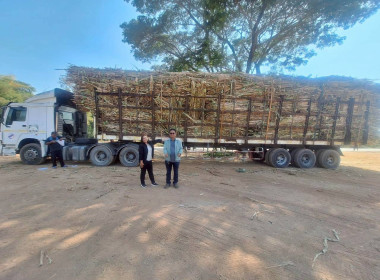 ติดตามและขับเคลื่อนโครงการแก้ไขปัญหาหนี้สินและพัฒนาคุณภาพชีวิตสมาชิกสหกรณ์และกลุ่มเกษตรกรด้วยระบบสหกรณ์ ... พารามิเตอร์รูปภาพ 14