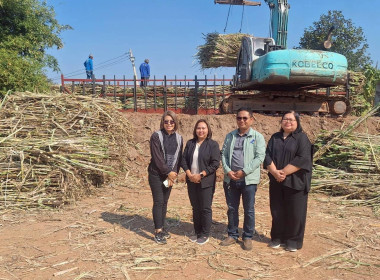 ติดตามและขับเคลื่อนโครงการแก้ไขปัญหาหนี้สินและพัฒนาคุณภาพชีวิตสมาชิกสหกรณ์และกลุ่มเกษตรกรด้วยระบบสหกรณ์ ... พารามิเตอร์รูปภาพ 15