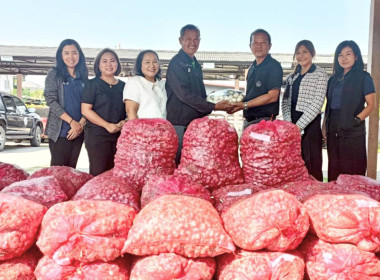 ขบวนการสหกรณ์ในจังหวัดชัยภูมิช่วยการกระจายผลผลิตหอมแดงจากเกษตรกรสมาชิกสหกรณ์ผู้ปลูกหอมแดงจังหวัดศรีสะเกษ ... พารามิเตอร์รูปภาพ 4