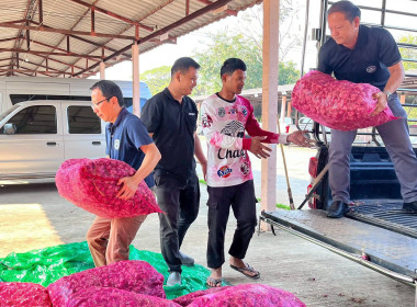 ขบวนการสหกรณ์ในจังหวัดชัยภูมิช่วยการกระจายผลผลิตหอมแดงจากเกษตรกรสมาชิกสหกรณ์ผู้ปลูกหอมแดงจังหวัดศรีสะเกษ ... พารามิเตอร์รูปภาพ 7