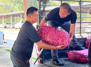 ขบวนการสหกรณ์ในจังหวัดชัยภูมิช่วยการกระจายผลผลิตหอมแดงจากเกษตรกรสมาชิกสหกรณ์ผู้ปลูกหอมแดงจังหวัดศรีสะเกษ ... พารามิเตอร์รูปภาพ 9