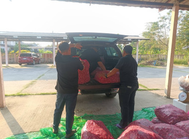 ขบวนการสหกรณ์ในจังหวัดชัยภูมิช่วยการกระจายผลผลิตหอมแดงจากเกษตรกรสมาชิกสหกรณ์ผู้ปลูกหอมแดงจังหวัดศรีสะเกษ ... พารามิเตอร์รูปภาพ 10