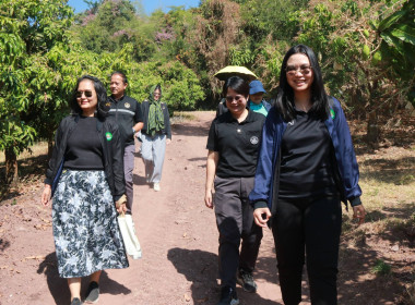 ตรวจเยี่ยมกลุ่มอาชีพ กลุ่มสตรีสหกรณ์บ้านโหล่น พารามิเตอร์รูปภาพ 4