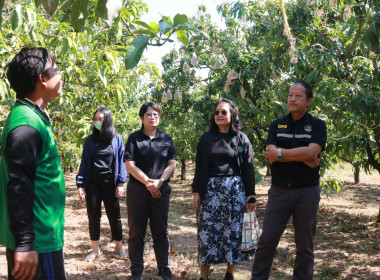 ตรวจเยี่ยมกลุ่มอาชีพ กลุ่มสตรีสหกรณ์บ้านโหล่น พารามิเตอร์รูปภาพ 5