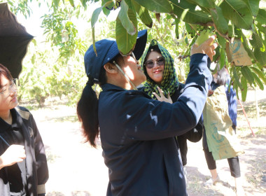 ตรวจเยี่ยมกลุ่มอาชีพ กลุ่มสตรีสหกรณ์บ้านโหล่น พารามิเตอร์รูปภาพ 6