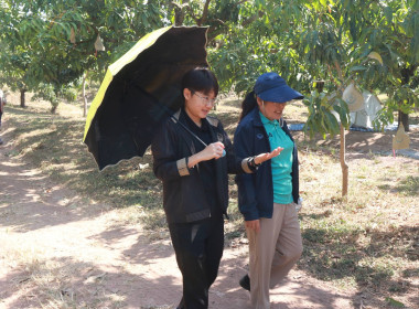 ตรวจเยี่ยมกลุ่มอาชีพ กลุ่มสตรีสหกรณ์บ้านโหล่น พารามิเตอร์รูปภาพ 7