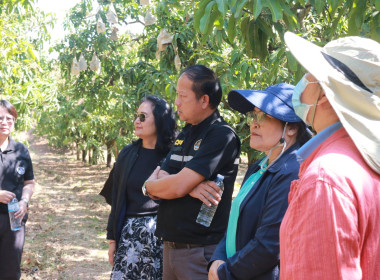 ตรวจเยี่ยมกลุ่มอาชีพ กลุ่มสตรีสหกรณ์บ้านโหล่น พารามิเตอร์รูปภาพ 8