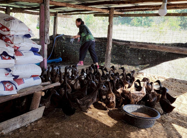 เยี่ยมยามถามข่าวชาวสหกรณ์การเกษตรคอนสวรรค์ จำกัด พารามิเตอร์รูปภาพ 7