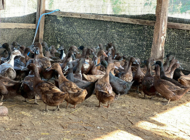 เยี่ยมยามถามข่าวชาวสหกรณ์การเกษตรคอนสวรรค์ จำกัด พารามิเตอร์รูปภาพ 10