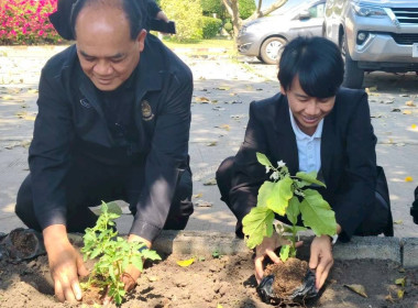 ประชุมติดตามผลการปฏิบัติราชการของผู้ตรวจราชการกรมส่งเสริมสหกรณ์ เขตตรวจราชการที่ 9 11 และ 13 ... พารามิเตอร์รูปภาพ 13