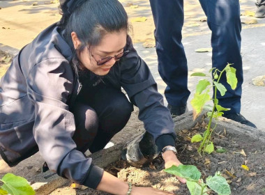 ประชุมติดตามผลการปฏิบัติราชการของผู้ตรวจราชการกรมส่งเสริมสหกรณ์ เขตตรวจราชการที่ 9 11 และ 13 ... พารามิเตอร์รูปภาพ 15