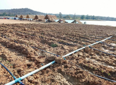 เยี่ยมยามถามข่าวชาวสหกรณ์การเกษตรหนองบัวระเหว จำกัด พารามิเตอร์รูปภาพ 10