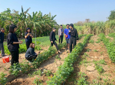 เยี่ยมยามถามข่าวชาวสหกรณ์การเกษตรหนองบัวระเหว จำกัด พารามิเตอร์รูปภาพ 11