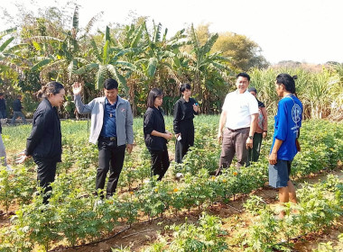 เยี่ยมยามถามข่าวชาวสหกรณ์การเกษตรหนองบัวระเหว จำกัด พารามิเตอร์รูปภาพ 13