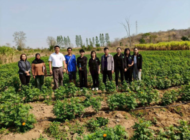 เยี่ยมยามถามข่าวชาวสหกรณ์การเกษตรหนองบัวระเหว จำกัด พารามิเตอร์รูปภาพ 14