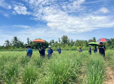 สหกรณ์การเกษตรบ้านเขว้า จำกัด ... พารามิเตอร์รูปภาพ 2